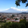 Cholula