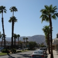 Palm Springs