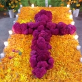 Ofrenda de Flores