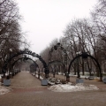Forged Figures Park