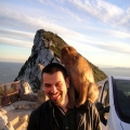 Hanging Out with the Barbary Macaques of Gibraltar