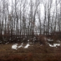 Rostov to Krasnodar