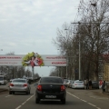 Welcome to Kuban!