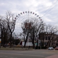 Krasnodar Ferris Wheel