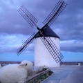 Windmills of Consuegra