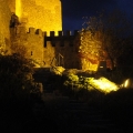 Consuegra Castle