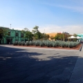 Plaza Garibaldi
