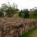 Monte Albán