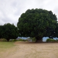 Monte Albán