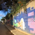 Oaxaca Grafitti