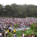 Hardly Strictly Bluegrass Festival