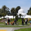 San Francisco Botanical Garden