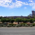 De Young Museum