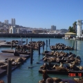 Pier 39