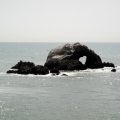 Seal Rocks