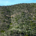 Tehuacán-Cuicatlán Biosphere Reserve