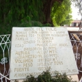 El Árbol del Tule