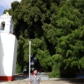 El Árbol del Tule