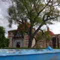 Iglesia de San Francisco Lachigoló