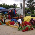 Flor de Muerto