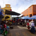 Flower Market