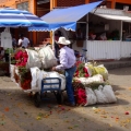 Flor de Muerto