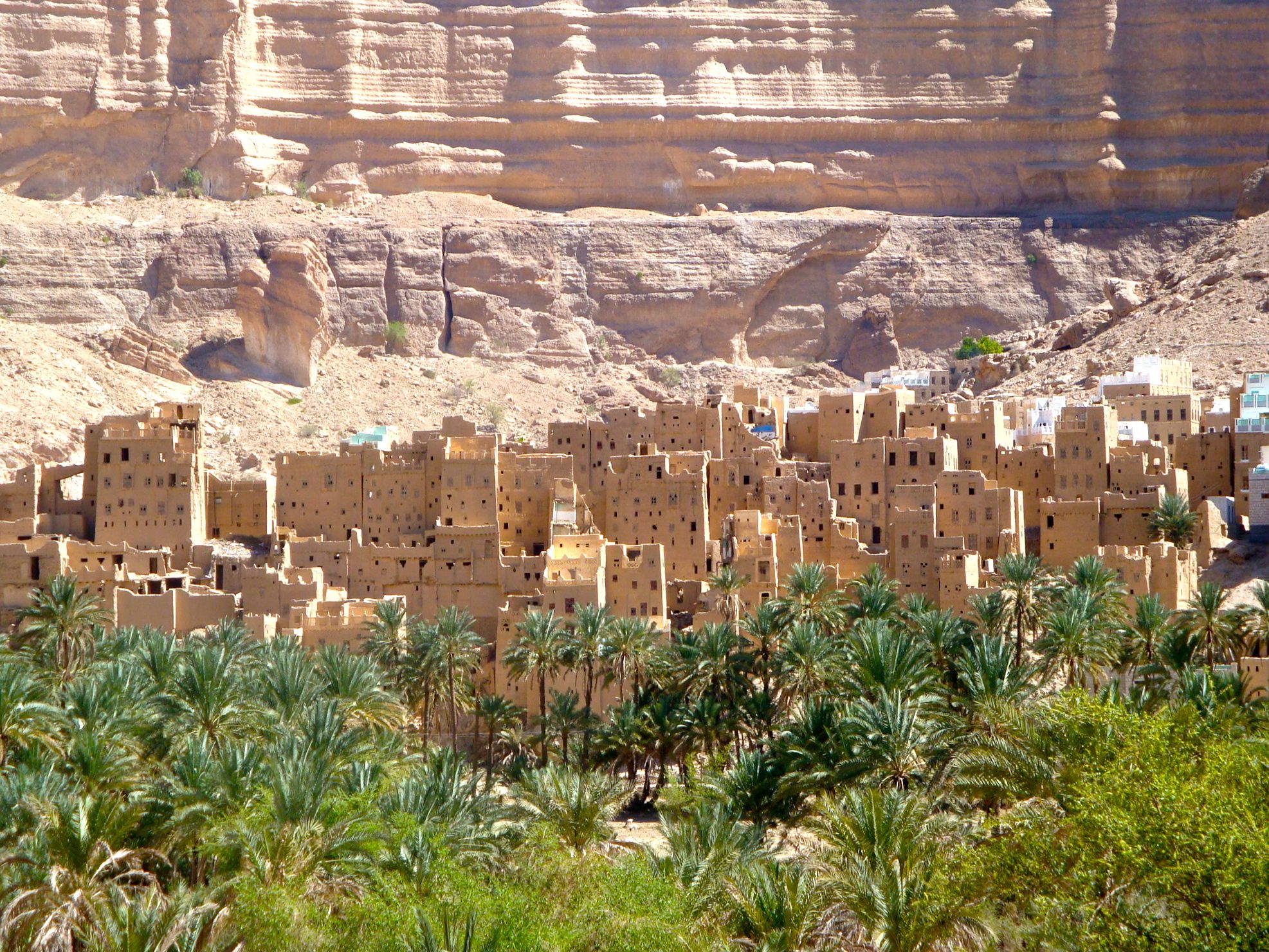 yemen-algrain-best