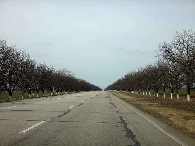 transnistria-border-1