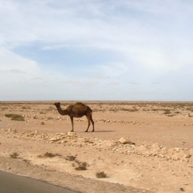 westernsahara-desert-1