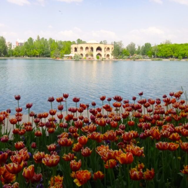 iran-tabriz-1